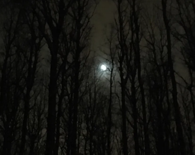 [Константин Соломатин] Дерзость (2020)_0.png